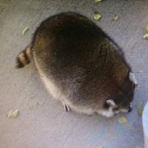 Meet your Posher, Bryan